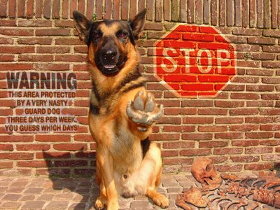 Como Administrar Una Empresa